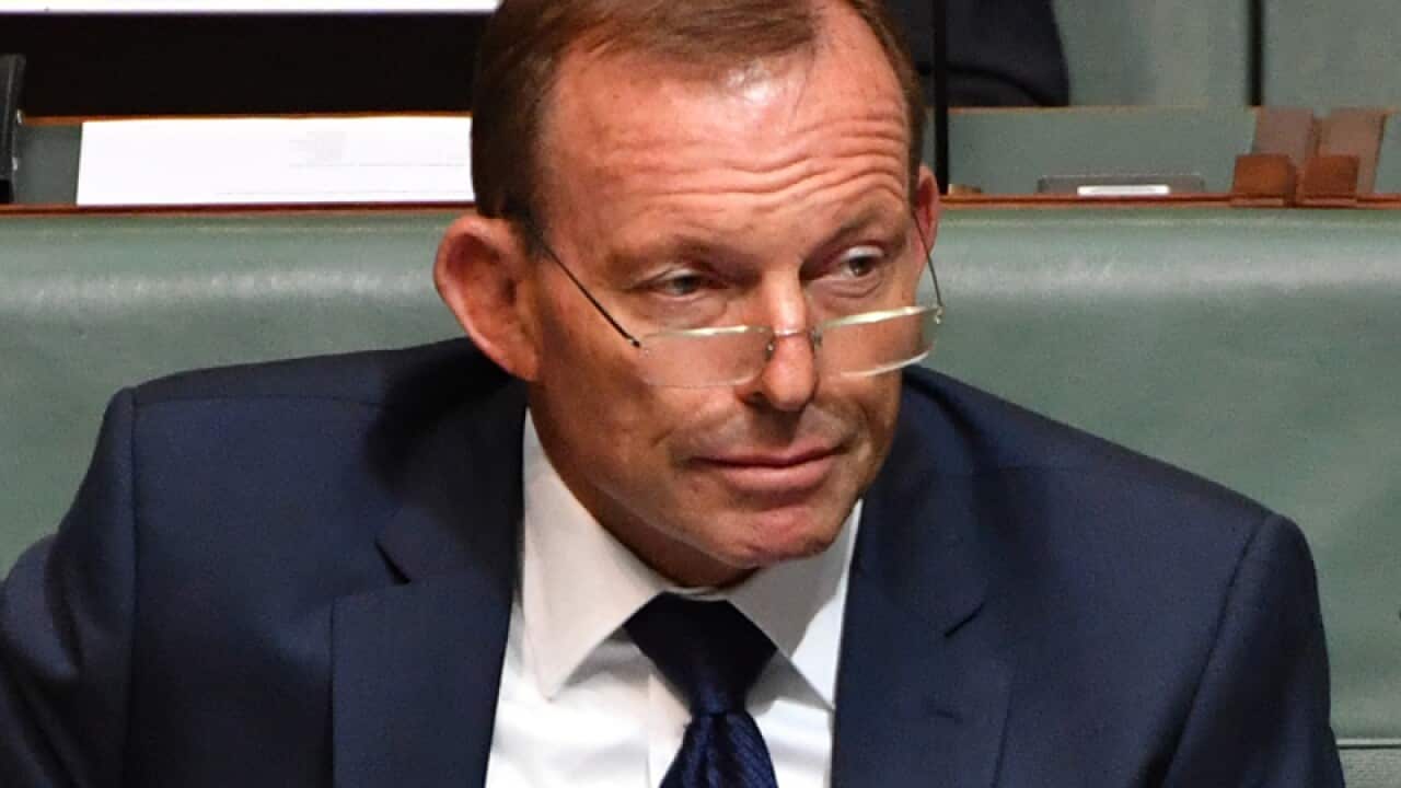 Liberal MP Tony Abbott