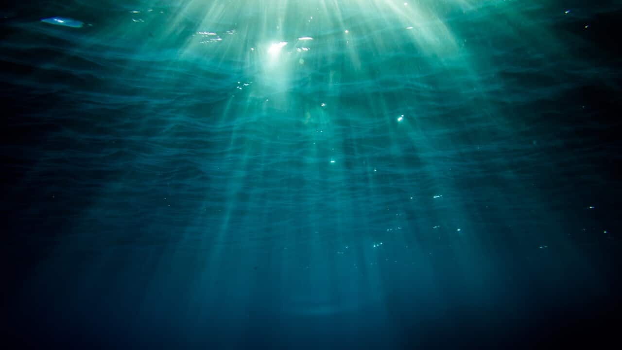 Underwater Landscape