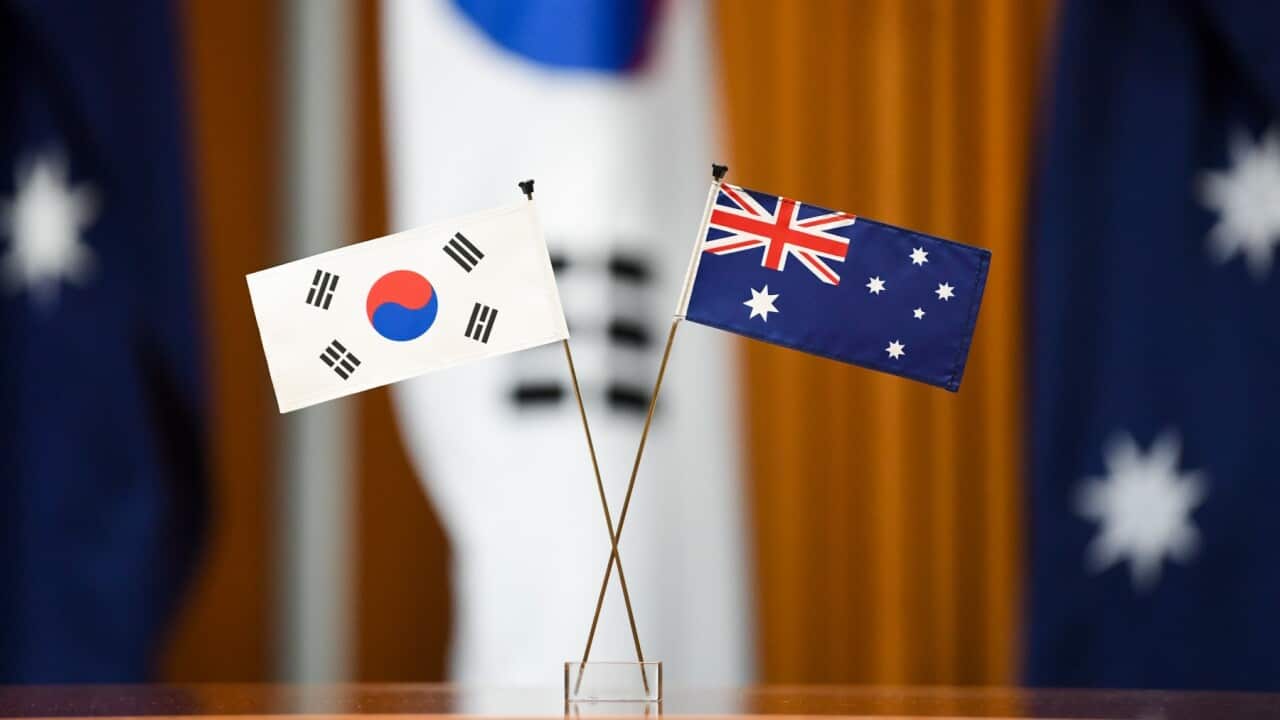 Miniature flags of South Korea and Australia