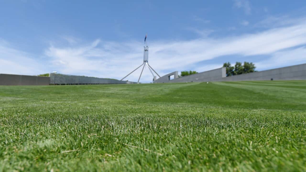 The green hills of Parliament House