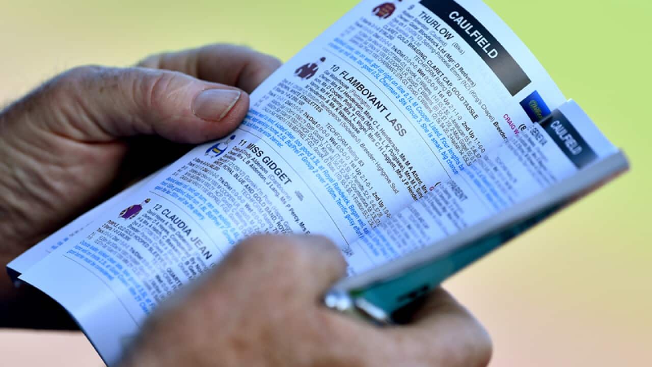 A punter studies the form guide at Caulfield racecourse in Melbourne