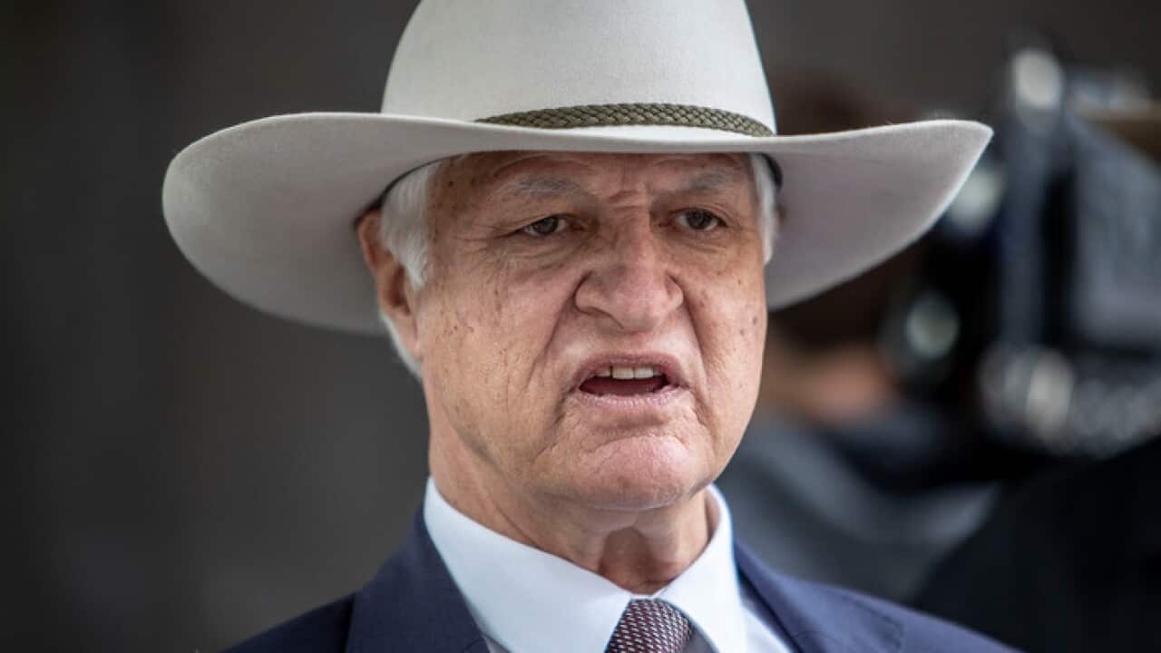 Independent MP Bob Katter says it is "outrageous" that the Indigenous flag can be owned by a private company.