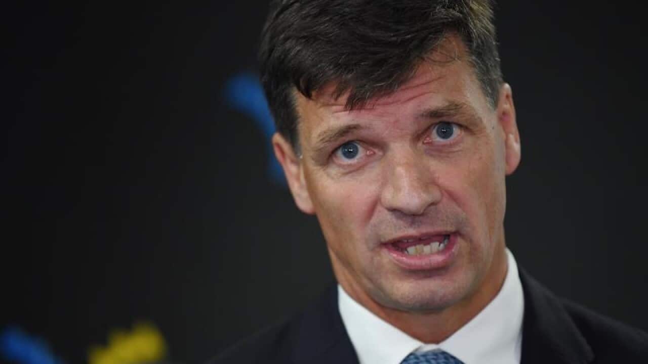 Federal Minister for Energy Angus Taylor