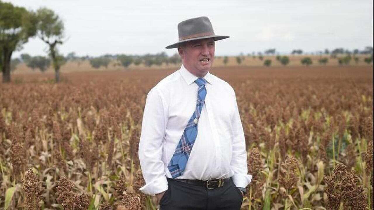 BJ