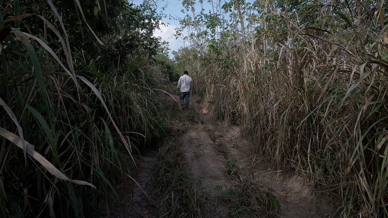 man walks down an overgrown road