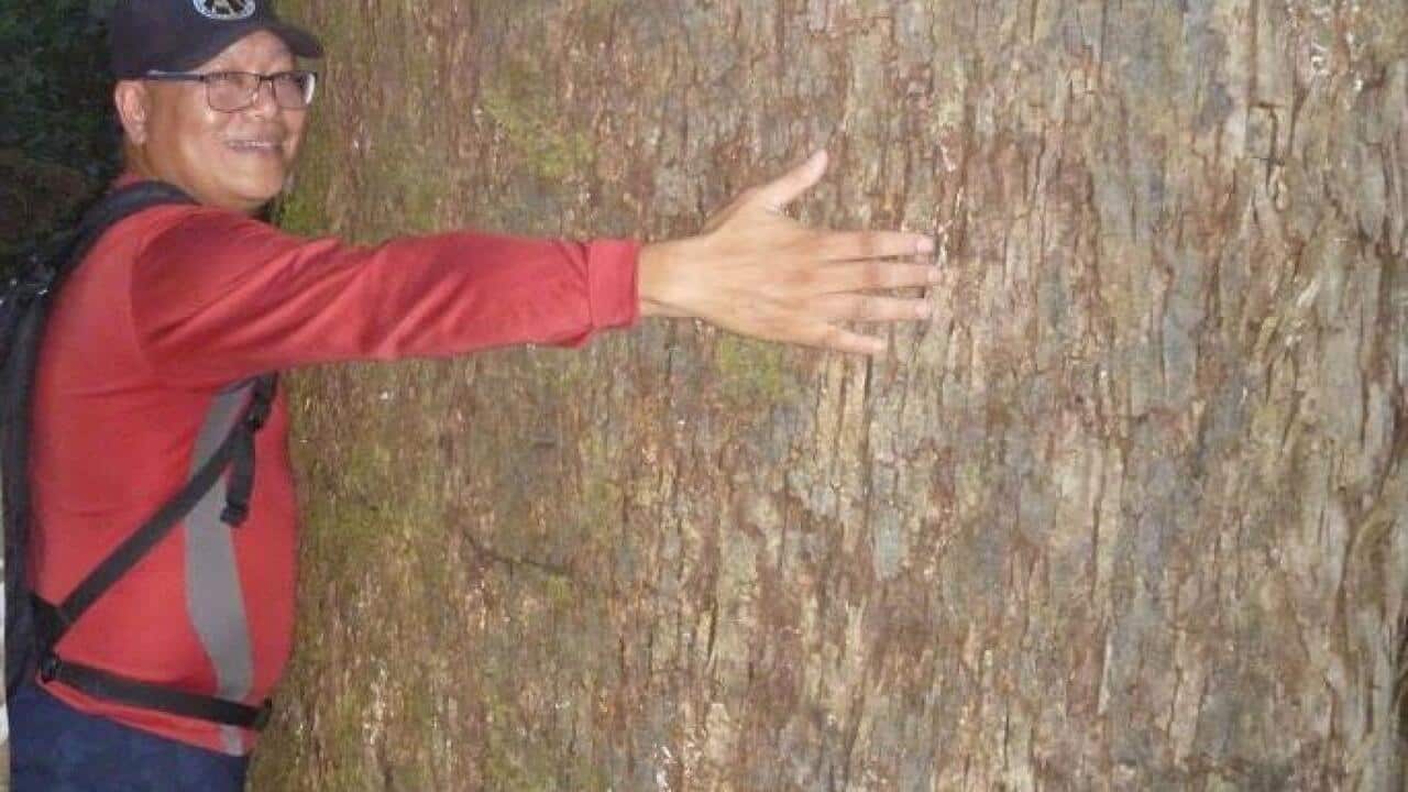 balik scientist, Doronila, Canberra, Melbourne, Filipino community, 75 Years Philippine Australia Relations