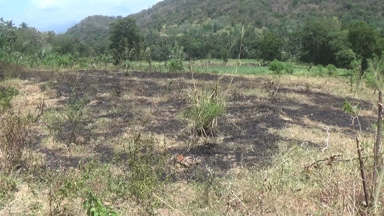 Drought Situation – Sri Lanka