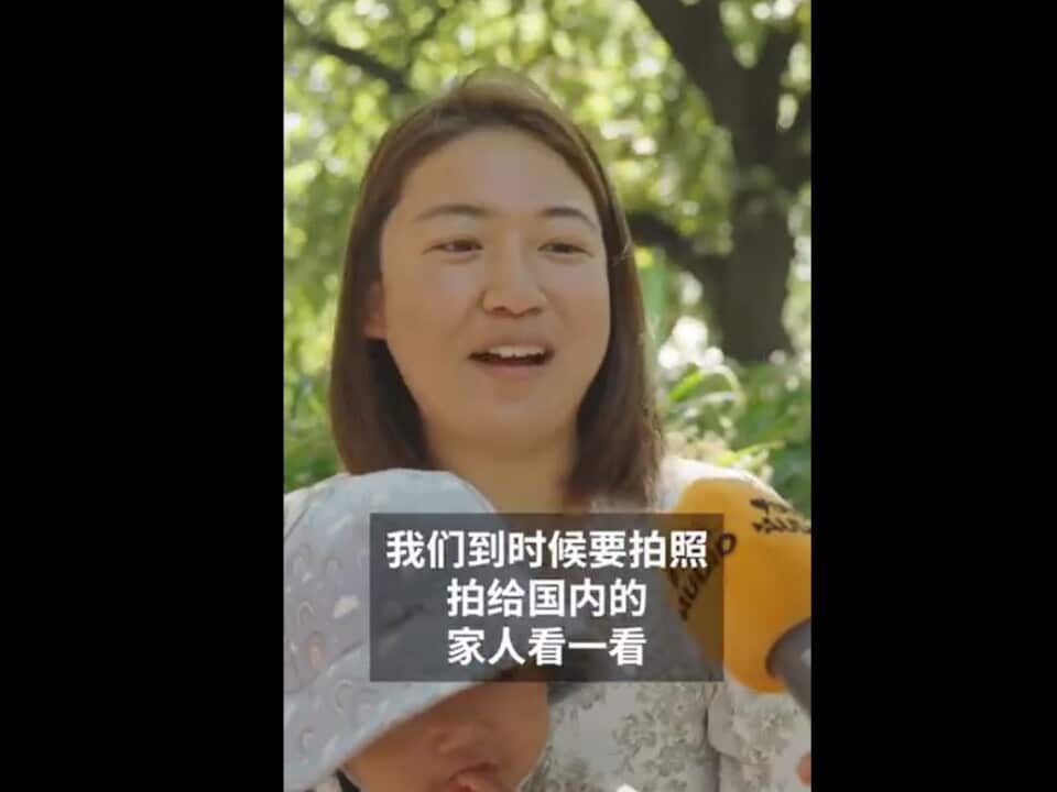 lny vid 4.jpg