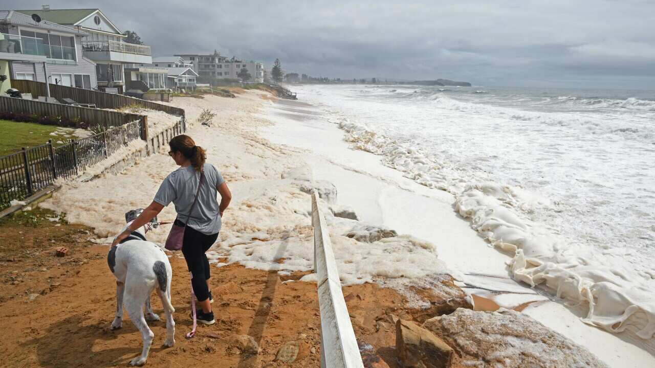 A woman and her dog stare at the sea foam washed up by large waves and heavy rain at Collaroy, in Sydney's Northern Beaches.