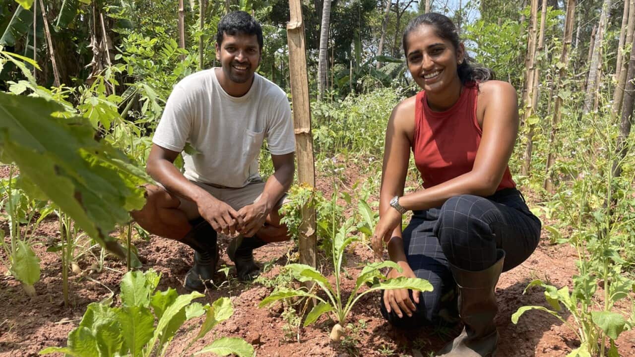 A man and a woman on an organic farm.