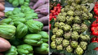Artichoke and Choko.png