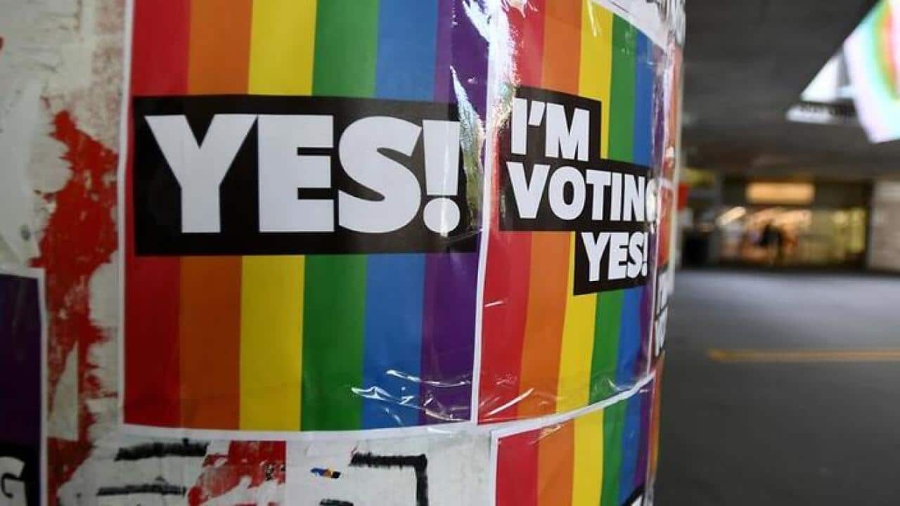 Labor will support a Liberal backbencher's same sex marriage bill if 'Yes' vote wins.