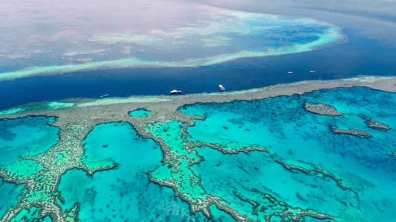 The Great Barrier Reef, Queensland, seen from the air.