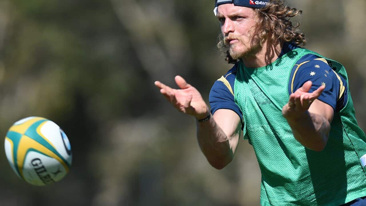 Wallabies winger Nick Cummins