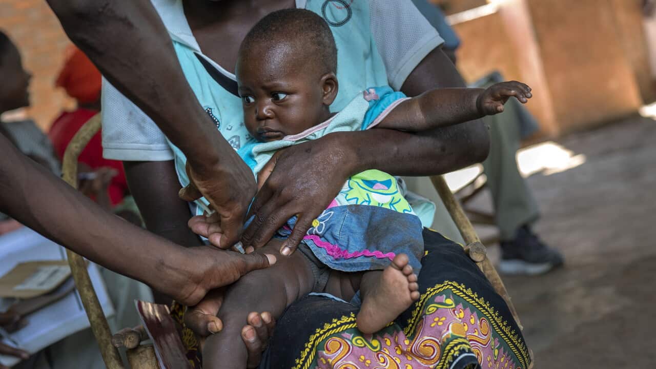 WHO Malaria Vaccine