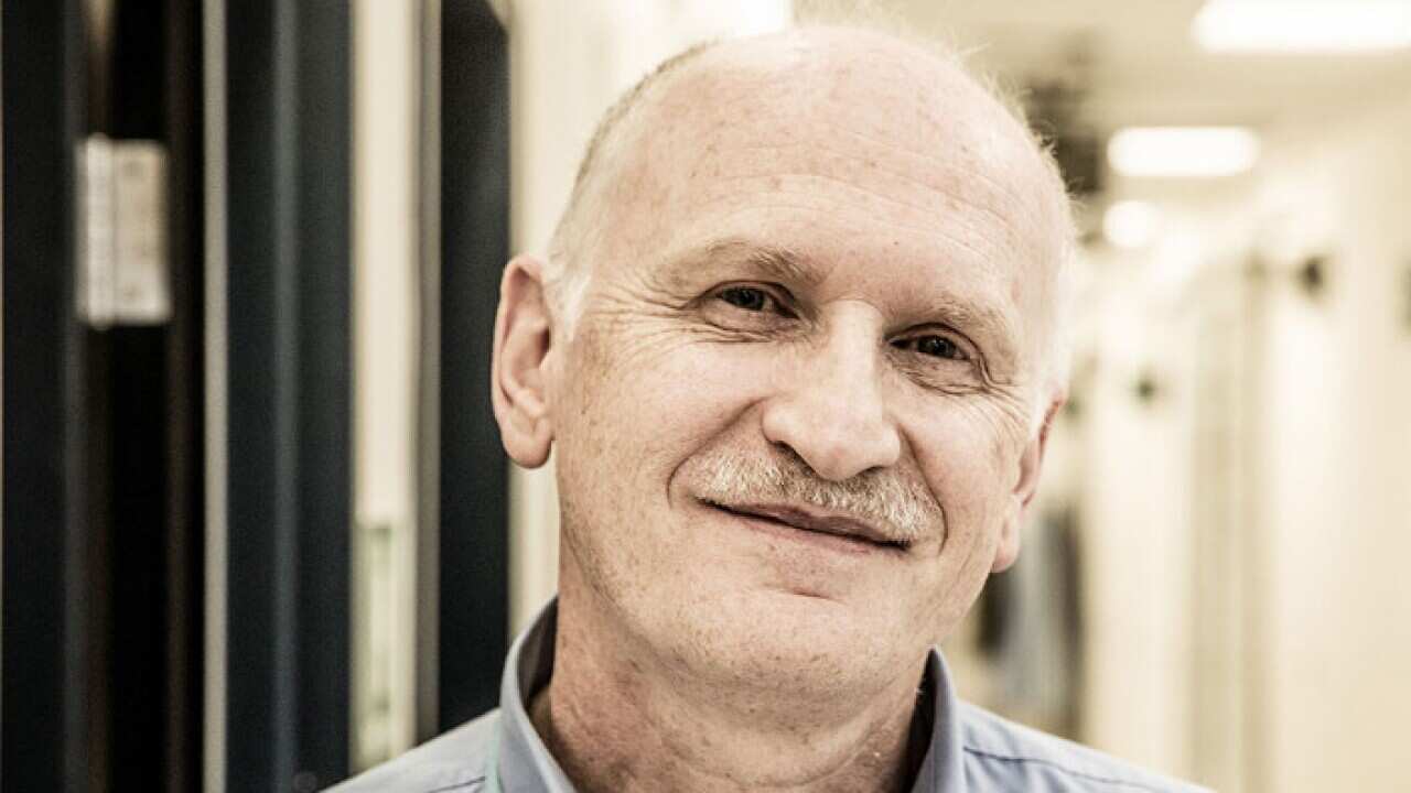 Bellomo