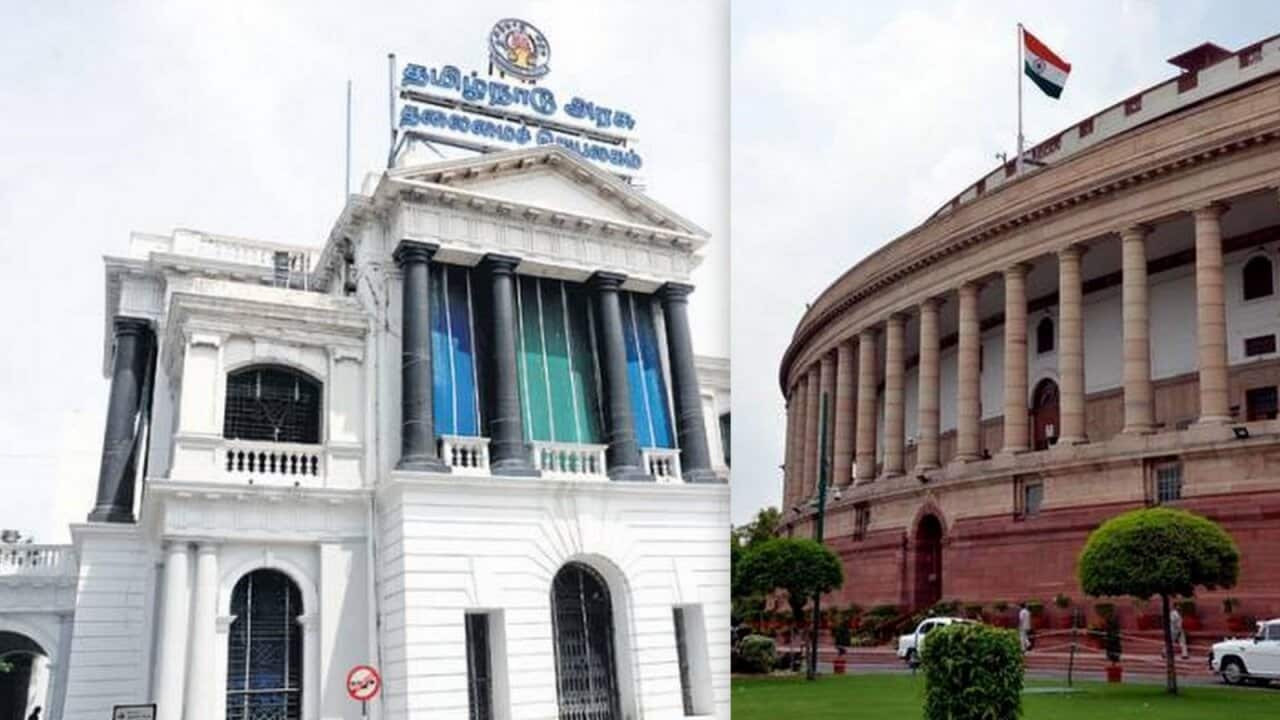 Tamil Nadu assembly and Indian Parliament