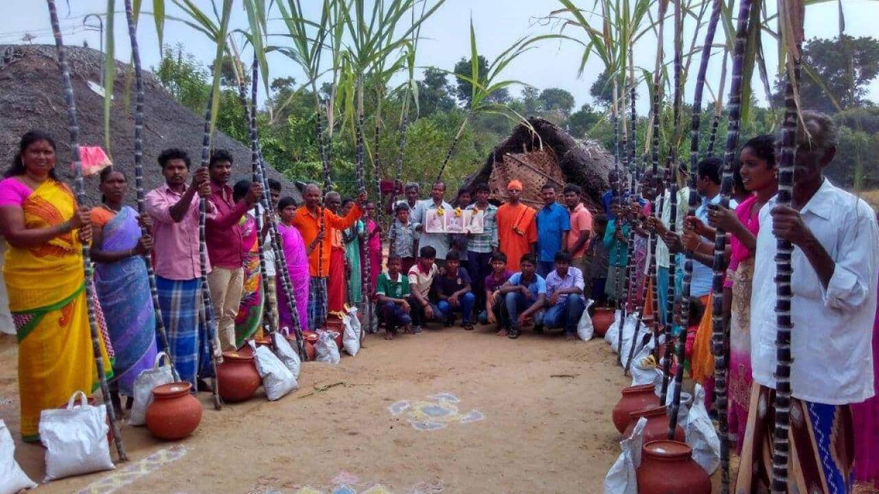 pongal