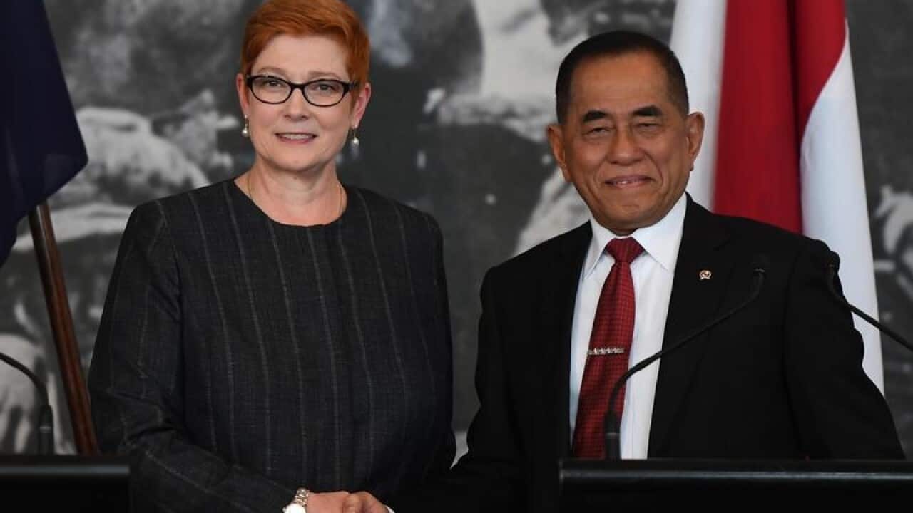 File image of Marise Payne and Indonesia's Minister Ryamizard Ryacudu.