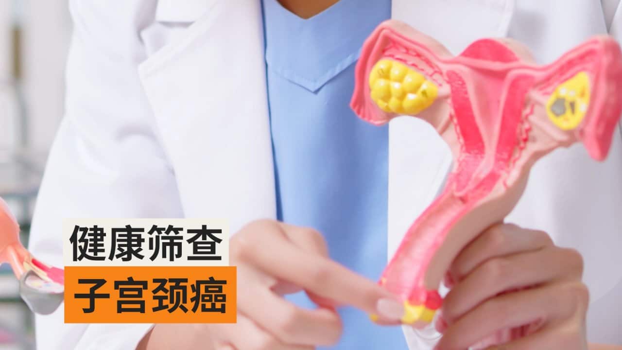 Image for read more article 'READ MORE'