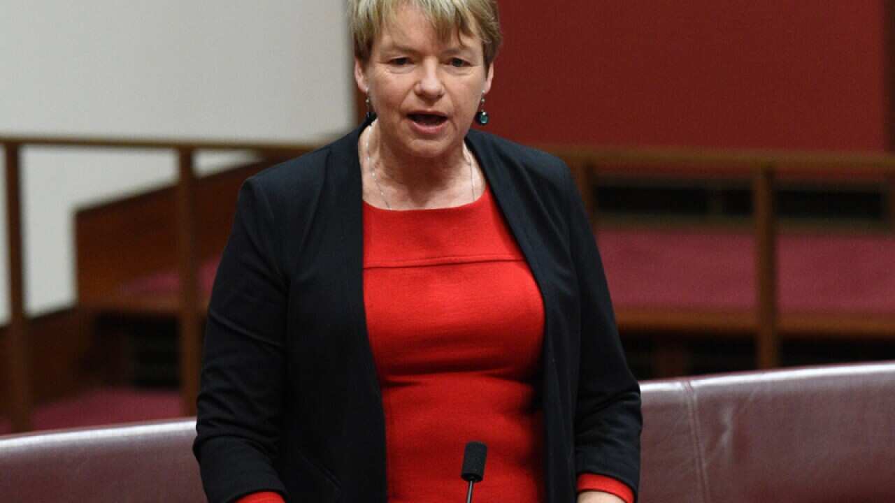 Federal Australian Greens Senator Janet Rice