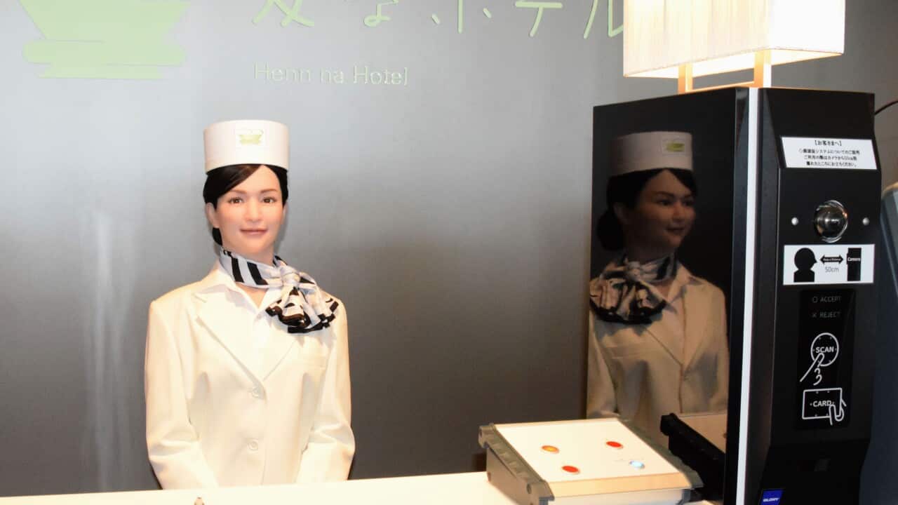 A receptionist robot