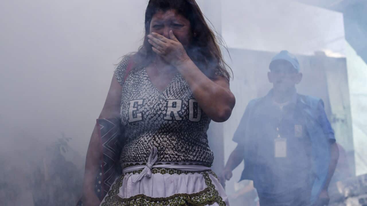 City workers fumigate insecticide in San Salvador