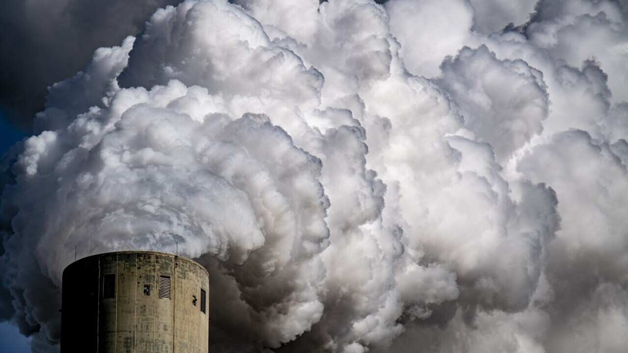 Moderate Liberals are reportedly pushing for their party to take more action on climate change.