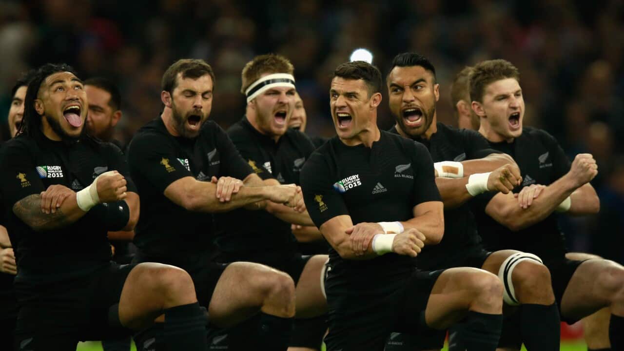 The New Zealand All Blacks perform the Haka during the 2015 Rugby World Cup Quarter Final match between New Zealand and France at Millennium Stadium on October 17, 2015 in Cardiff, United Kingdom.