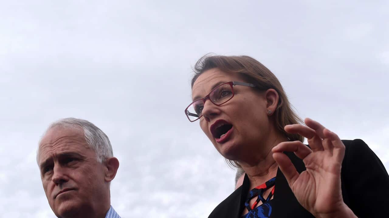 Australian Prime Minister Malcolm Turnbull speaks to kids with diabetes in a park in Campbelltown in Sydney, Sunday, May 15, 2016.