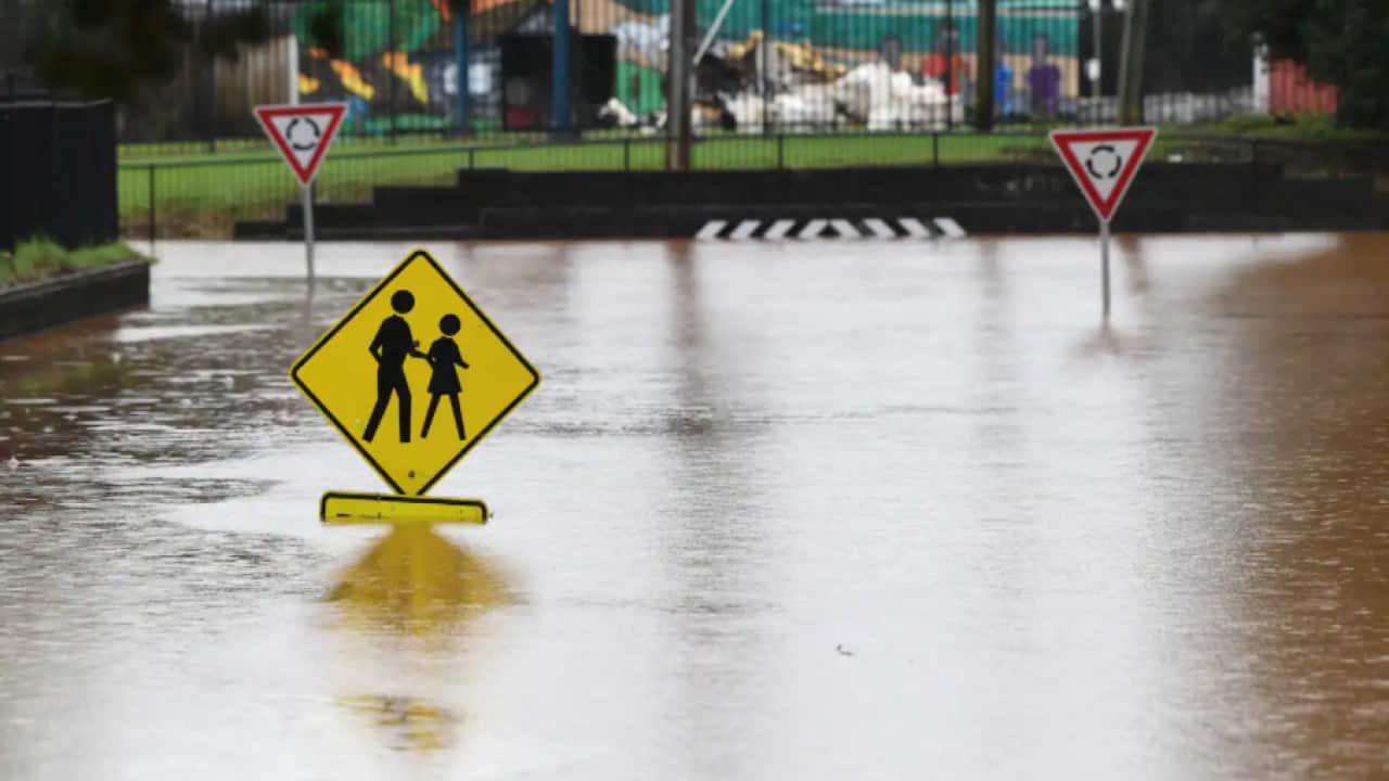 Image for read more article '阅读更多'