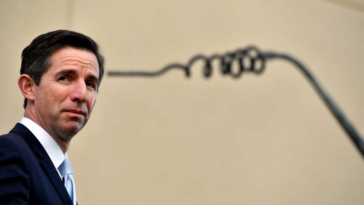Trade minister Simon Birmingham