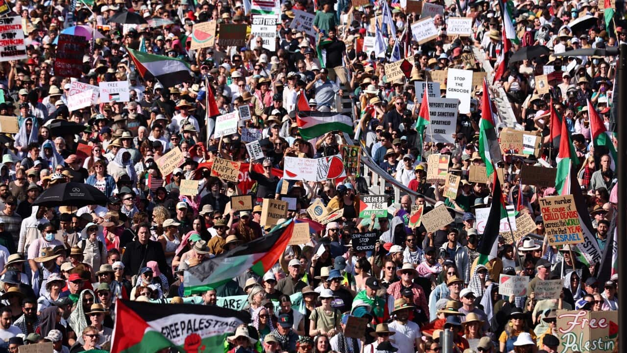 Protesters participate in pro-Palestinian rally in Brisbane, Sunday, August 24, 2025 (AAP).