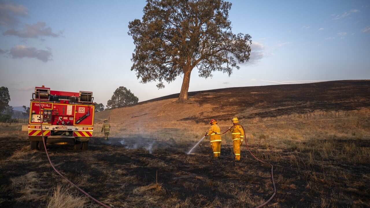 Victorian Bushfires in Australia - 10 Jan 2026