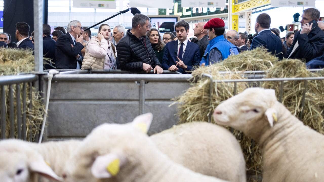 Gabriel Attal visits the 60th International Agriculture Fair - Paris