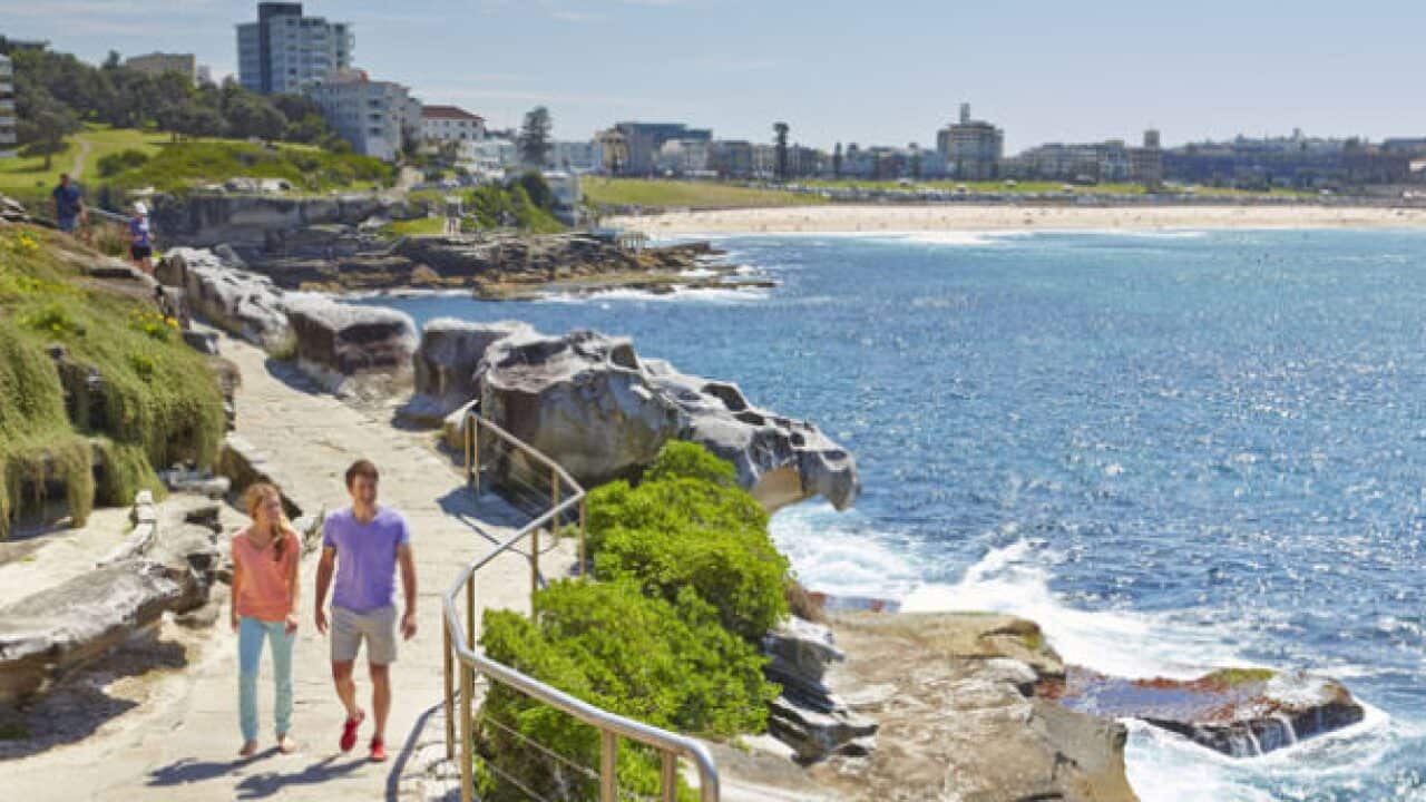 Bondi to coogee walk
