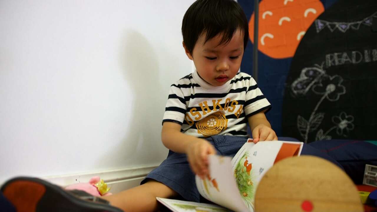Toddler enjoys book at Lost In Books 