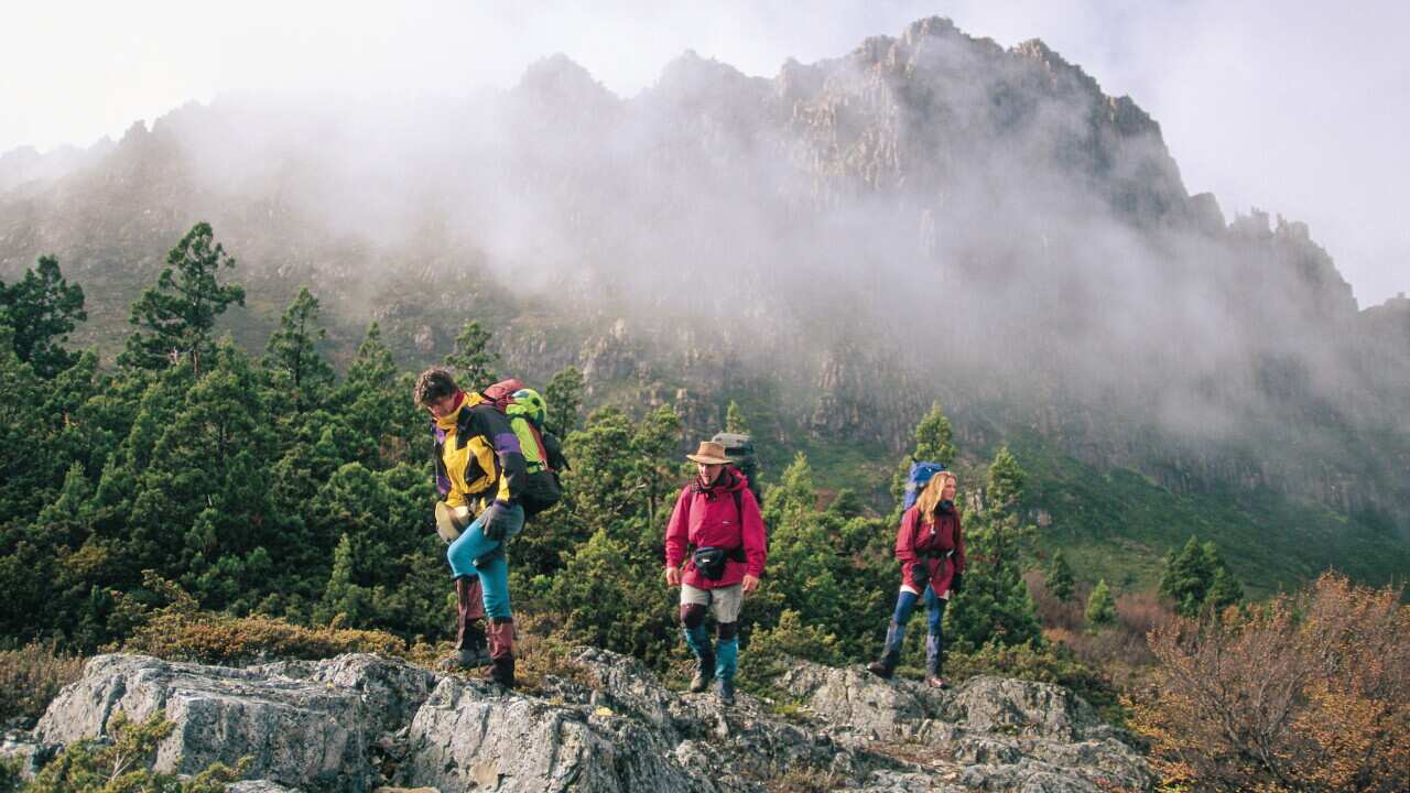 TRAVEL TAS WALK