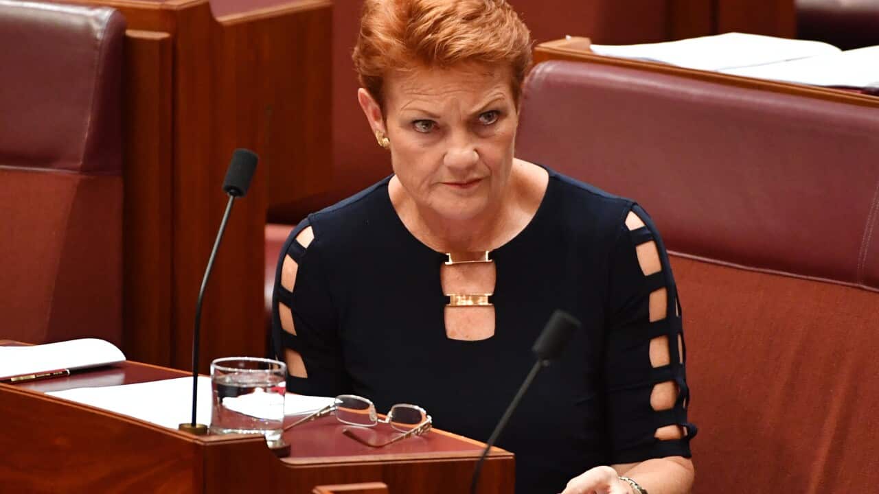 One Nation leader Senator Pauline Hanson in the Senate chamber after calling for the board of Australia Post to be sacked at Parliament House in Canberra, Wednesday, Feb. 15, 2017. (AAP Image/Mick Tsikas) NO ARCHIVING