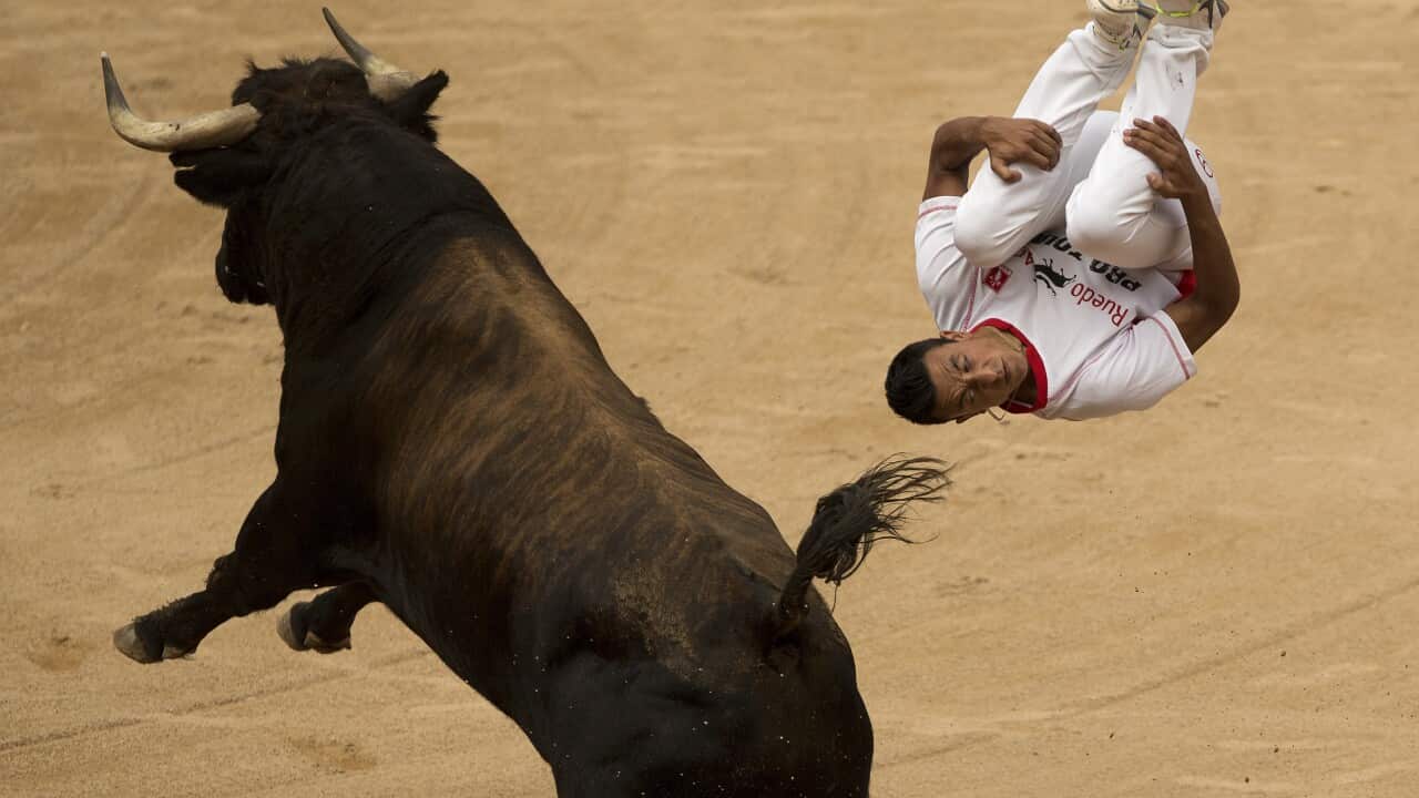 A 'recortador' jumps over a bull during a competition at the San Fermin festival in Pamplona