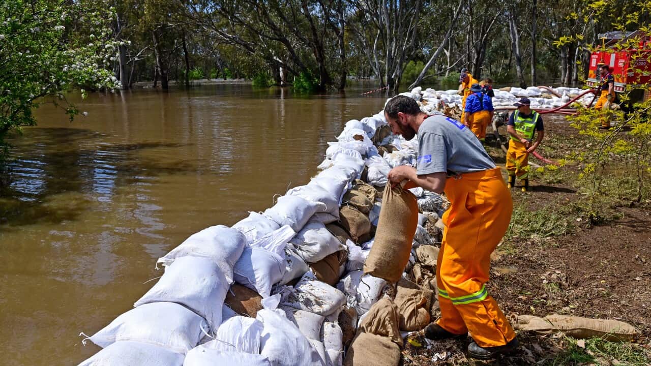 CFA crews put sandbags next to floodwaters