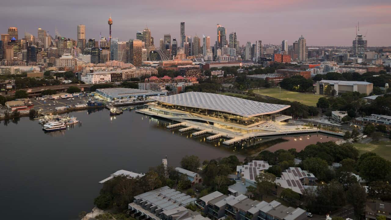 0791_Sydney_Fish_Market_2786 Copyright Tom Roe.jpg