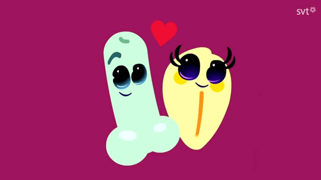 A Swedish cartoon featuring dancing penises and vaginas has attracted widespread complaints from parents. (Screenshot: YouTube/SVT Bacillakuten)