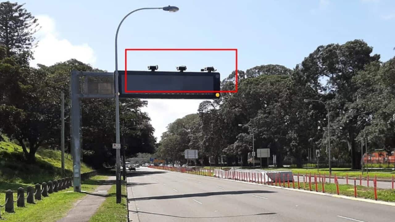 Mobile detection camera