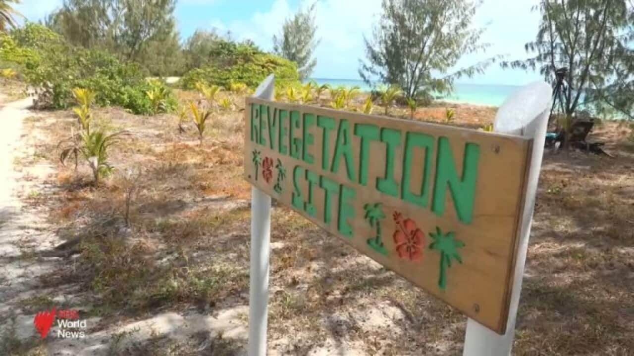 On this Torres Strait island, rising seas are washing away more than just land.