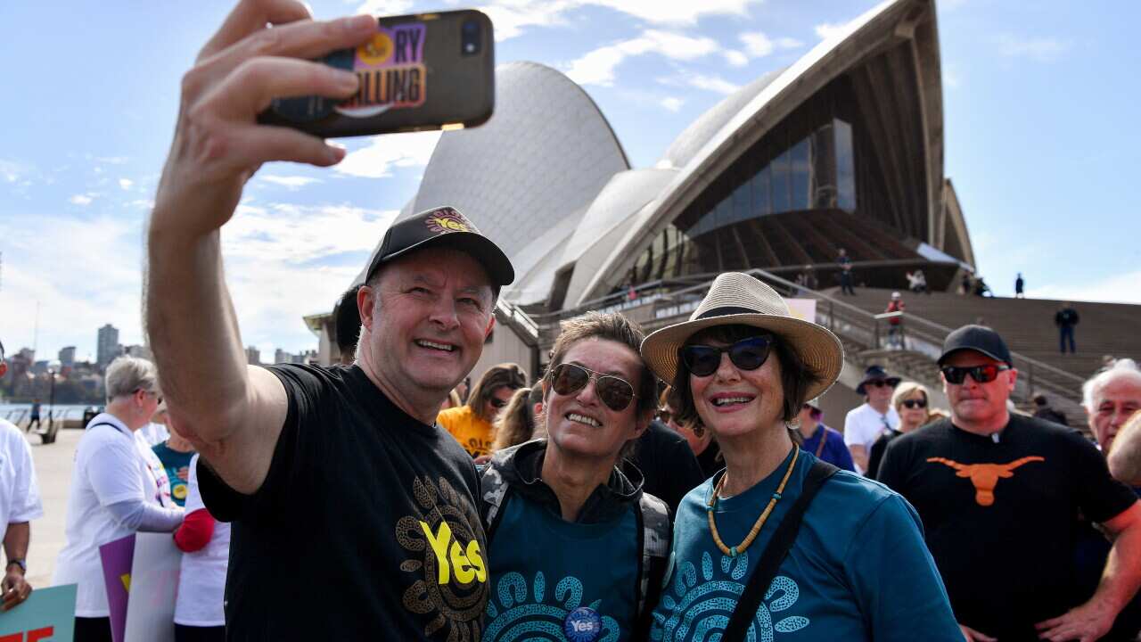 ANTHONY ALBANESE RUN FOR THE YES
