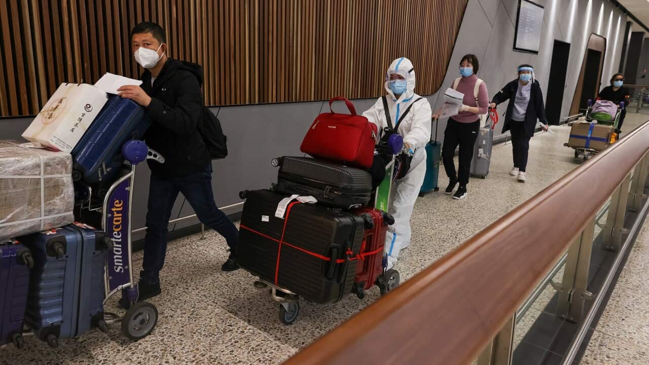 Air travel has helped spread diseases faster across the world.