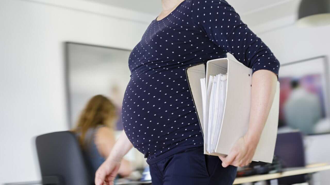 NSW is moving to close a loophole which allows employers to sack a woman who knew she was pregnant when hired.