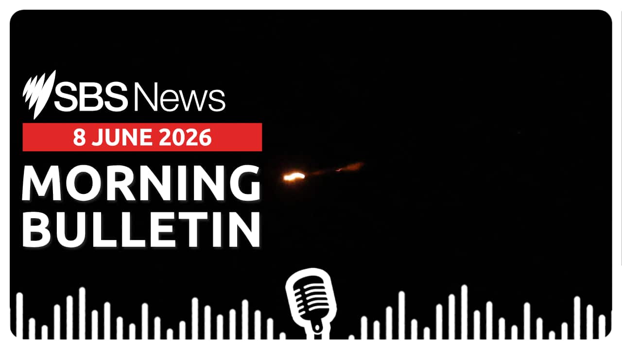 MORNING BULLETIN.png
