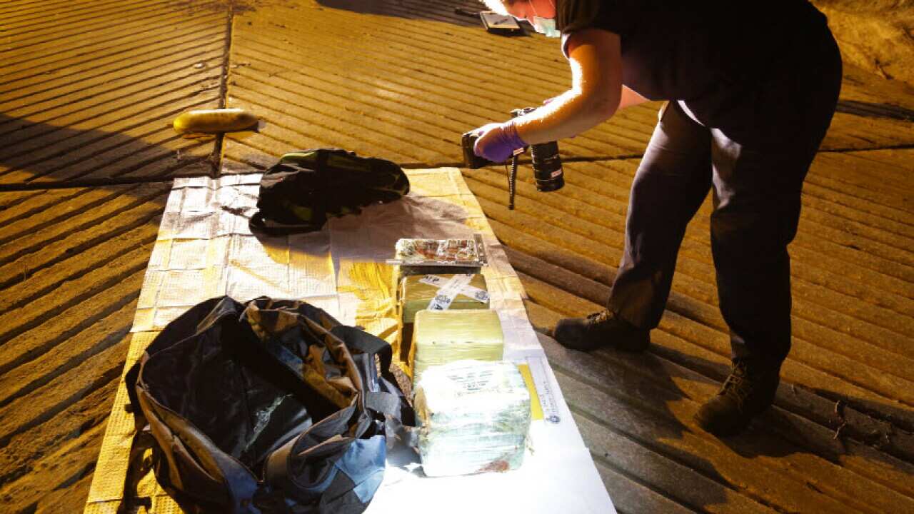 $360 million worth of cocaine has been seized by the AFP.